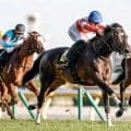 【新潟記念予想】先行馬不振の一戦 AIが注目した末脚強みの一頭は