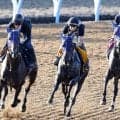 【紫苑Ｓ・１週前】オークス２着で転厩初戦のドリームコアはラスト１０秒９　田中博調教師「１週前なので大きく動かすイメージ」