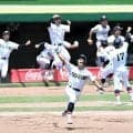 高校野球兵庫大会の熱戦振り返る写真展　9月に神戸・姫路・朝来で