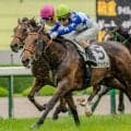【中京2歳S】半姉は紫苑S覇者のモリアーナ ビスケットサンドが無敗戴冠なるか