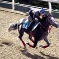 【中京２歳Ｓ】４頭出し森秀厩舎勢の筆頭格ジャスパートレノが坂路で鋭い伸び　陣営「動きは申し分ない」