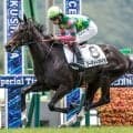 【中京2歳S出走馬・騎手確定】ジーティーマイカ＆松山弘平騎手、サンタンジェロ＆西村淳也騎手など9頭