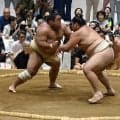 横綱大の里に６戦全敗…藤凌駕が負傷で病院へ　「大丈夫です」強調も…午後の取組外れる