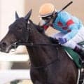 母は重賞3勝のプリモシーン 3歳のプリモマーレが待望の初陣だ