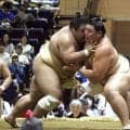 大の里、視察の師匠の前で１１番「左がうまく使えていた。悪くないと思う」