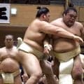 幕内・藤凌駕、夏巡業を離脱　稽古で右手親指を負傷「力が入らない状態」