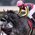 母は名牝アエロリット イルサリットが横山武史騎手でデビュー勝ち狙う