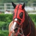 【ブリーダーズＧＣ】レイバックスピンが３連勝でＶ　初重賞の壁も一気に突破