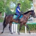 【ＰＯＧ】叔母にＧ１馬ハープスター！ウラノグラフィアは順調さアピール　宮田調教師「心肺機能自体はいいものを持っている」