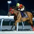 【門別・ブリーダーズゴールドC結果】レイバックスピンが3連勝で重賞初制覇！