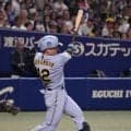 阪神・坂本誠志郎 9号逆転2ラン
