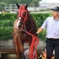 【ブリーダーズＧＣ】レイバックスピン重賞初挑戦Ｖ　丹内祐次騎手「大きいレースを勝てたのはうれしい」