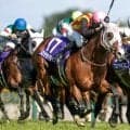 【新潟記念枠順確定】ロデオドライブは3枠3番、ゾロアストロは5枠5番