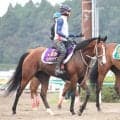 【新潟記念】ルメール騎手騎乗の３歳マイル王・ロデオドライブは３枠３番　川田将雅騎手騎乗のダノンシーマは７枠８番