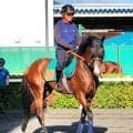 【注目馬動向】札幌で初勝利を挙げたデザートスピリットは横山和生騎手で札幌２歳Ｓへ　平岩厩舎はＪＲＡ重賞初挑戦