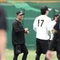 【阪神】首位攻防３連戦を前に戦力入れ替え　糸原健斗と新外国人キャム・ディベイニーが１軍合流