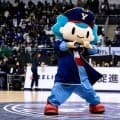 横浜ビー・コルセアーズのマスコット「コルス」が“新たな冒険”へ…10月3日のホーム開幕戦で引継ぎ式開催