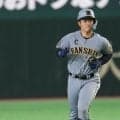 10年間で8HR→月間7発の“激変”　32歳で新境地…阪神名手が「もはやスラッガー」