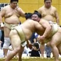 熊本出身の義ノ富士 故郷への思い語る