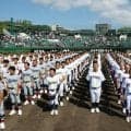 全国軟式高校野球　29日の決勝で始球式参加者を募集　小学生以下