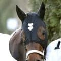 【注目馬動向】フェブラリーＳ３着のダブルハートボンドは大井のレディスプレリュードで始動 　７か月半ぶり復帰戦