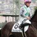 馬主はソフトバンクHの柳田悠岐選手 ブラックミューズが初勝利なるか