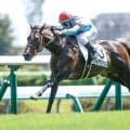 【京成杯AH想定馬・騎手】フォルテアンジェロ、レザベーションなど18頭