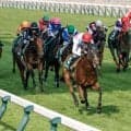 【セントウルS想定馬・騎手】ピューロマジック、ファストネットワークなど17頭