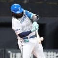 【日本ハム】レイエス２打席連発　左翼スタンド上段に放り込む29号２ラン　１人で５打点の大爆発