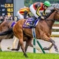 半姉は二冠牝馬のチェルヴィニア エフフォーリア産駒のチェスティーノが初陣だ