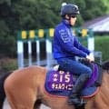 【新潟記念・金曜気配】チェルヴィニアが新コンビの津村明秀騎手と再出発　陣営「ジョッキーの感触も良かった」
