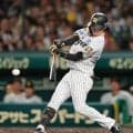 【阪神】中野拓夢、追加点につながる四球選ぶ「そういう打席も大事かなと…」堅い守備も健在
