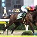 【２９日の注目・新潟４Ｒ】ミッション遂行ならず！？　越後路デビューでもモチロンコクラが目指すのはもちろんデビューＶ