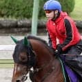 【池添謙一のＫｅｎ　ｔｏ　１】新潟記念サヴォーナ　持久力勝負に持ち込み反撃