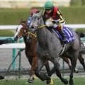 母は2歳女王レーヴディソール エクラドリオンがルメール騎手でデビュー勝ち狙う