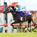 【２９日の注目・中京５Ｒ】杉山晴厩舎から超良血馬が２頭出走　デアリングタクト＆ステレンボッシュの妹