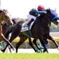 【２９日の注目・新潟９Ｒ】１億５０００万円馬にＧ１馬の弟など　良血３歳馬が秋の飛躍をかけ激突