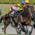 長篠Sはキングマンボ系に注目だ 中京芝1400mの傾向を分析