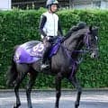 【注目馬動向】トロヴァトーレは富士Ｓから始動　今年は東京新聞杯、エプソムＣを制覇