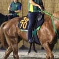 【不来方賞】ホリエモンの愛馬イッテラッシャイは２枠２番　武豊騎手とコンビのシーズザスローンは６枠７番　枠順確定