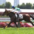 【札幌２Ｒ・２歳未勝利】連闘のタプティがきっちりと完勝　小沢大仁騎手「もっと能力的に走れそう」