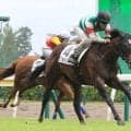 【新潟４Ｒ・２歳新馬】母はＧ１馬　単勝１・５倍のエクラドリオン完勝　ルメール騎手「１６００メートルも行ける」