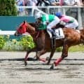 【札幌5R新馬戦結果】ドレフォン産駒ユーフォナイトが差し切り勝ち