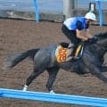 土曜新潟競馬場の注目激走馬…新潟８Ｒ・ＢＳＮ賞（Ｌ）