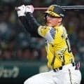 阪神に「突如現れた救世主」　西武戦力外→帳消しにした“-19.8”…際立つ「1.0」の価値