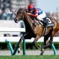 【すずらん賞結果】ワールドエンジェルが逃げ切り無傷の2連勝