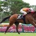 【新潟７Ｒ・赤倉特別】ゴール寸前で差され惜しくも２着...ミシェル騎手「フランス人ジョッキー同士の...」