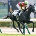 【新潟記念予想】前走人気薄での大敗は大きなマイナス材料!? 臨戦過程にも不安を感じる軽視すべき人気馬