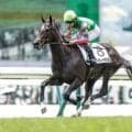 【中京2歳S予想】父ミスプロ系に過度な期待は禁物!? 人気馬2頭が当てはまった消去法データとは