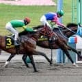 【BSN賞結果】メイショウズイウンが押し切りオープン初勝利